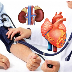 Mắc các bệnh mãn tính